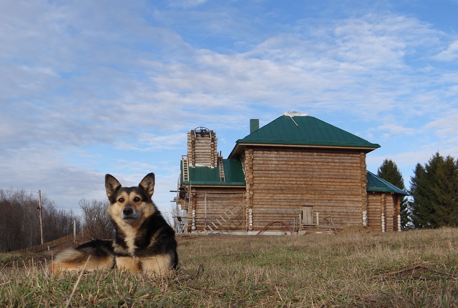 Погода нижний пальник пермский край на 10