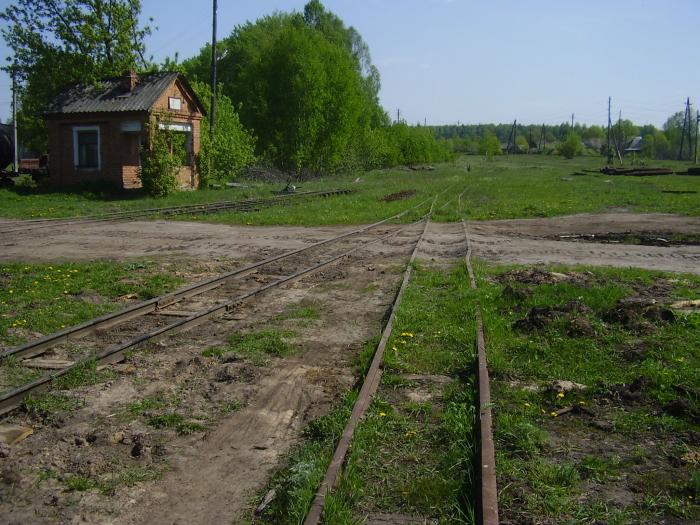 Погода в пгт рязановский