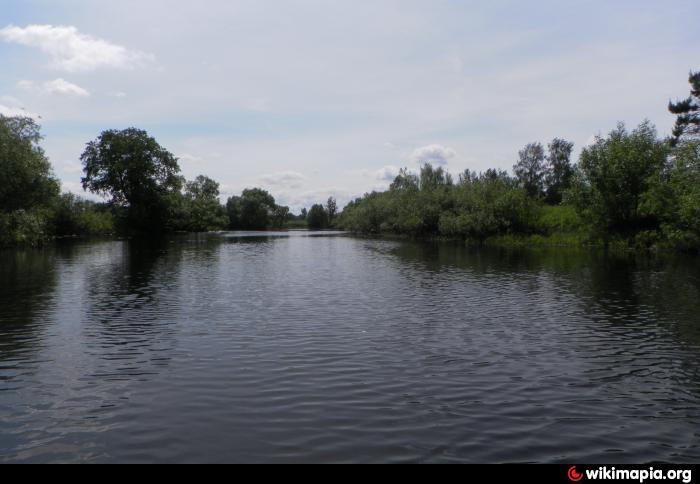 Озеро старица новосибирск фото