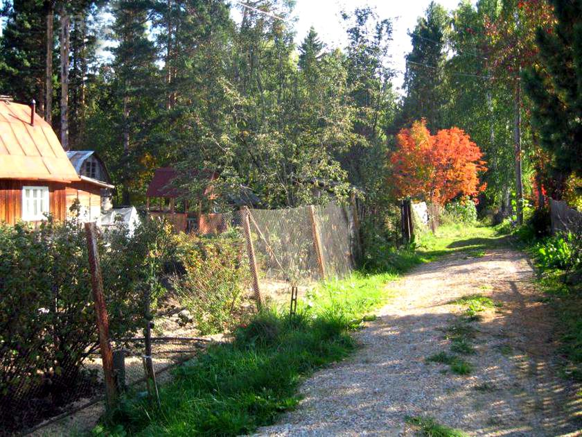 Д малая. Малая Еловая Красноярский край. Красноярск малая Еловка. Еловое Красноярск. Малая Еловая деревня.