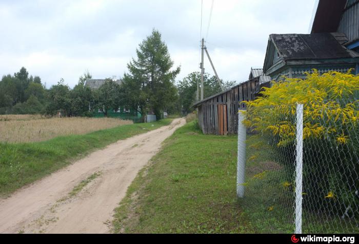 Погода в боре на 10 дней. Деревня Руднихино Опочецкий район. Деревня Ханево Псковская область. Глубоковская волость Опочецкий. Ровный Бор Опочецкий район.