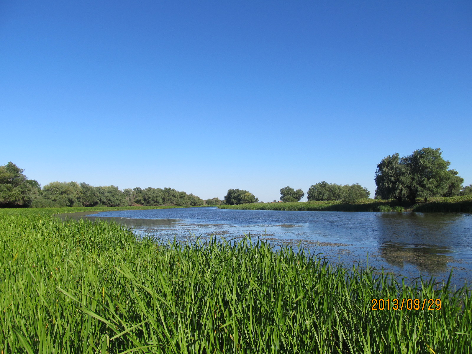 Река кигач астраханская область. Река Кигач. Ерик Кигач Астраханская область. Река Кигач фото.