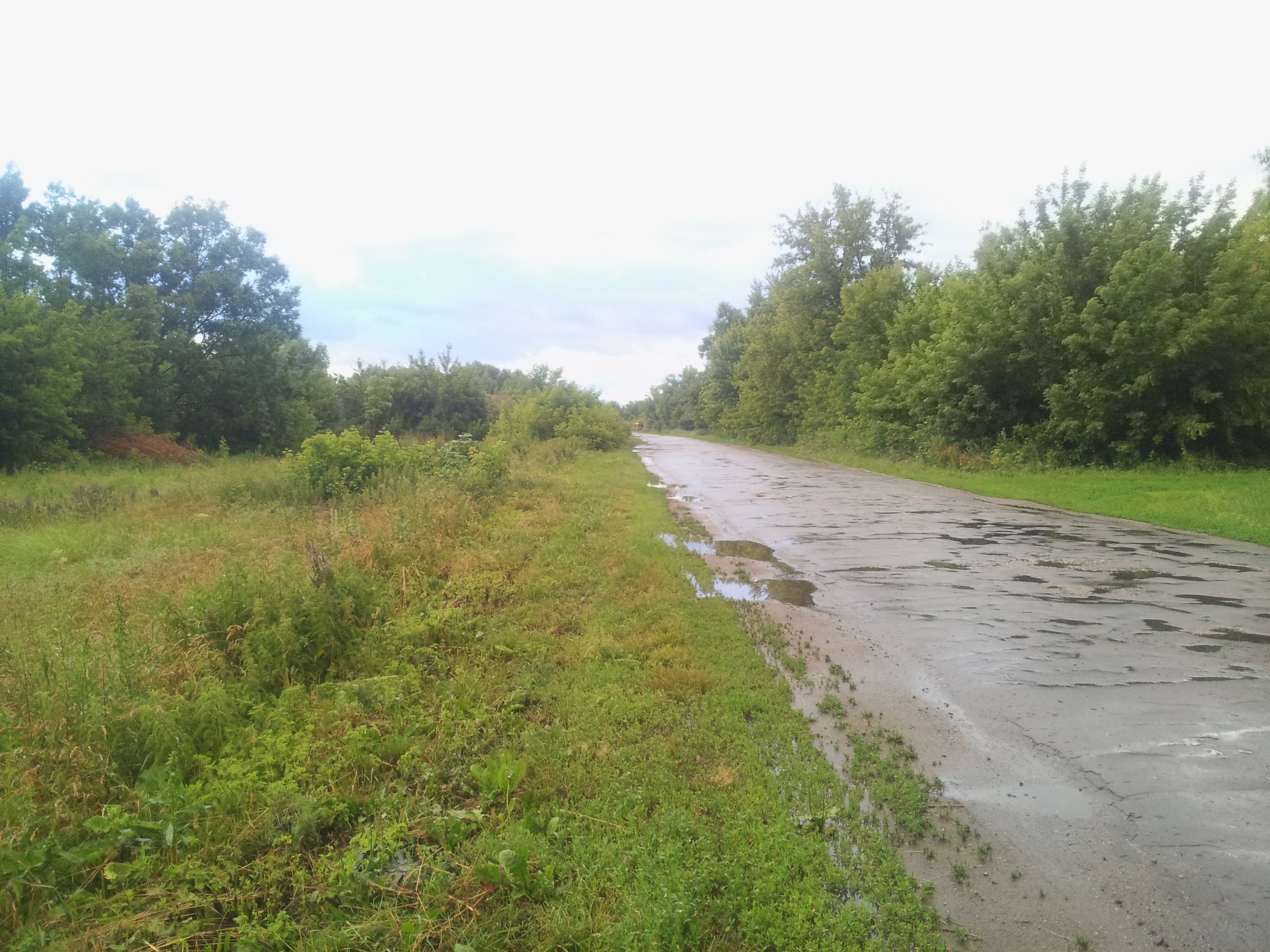 Погода ярославка чувашия. Село Ярославка Тамбовской области. Тамбовская область Сосновский район село нижняя Ярославка. Село верхняя Ярославка Сосновский район Тамбовская область. Ярославка деревня.