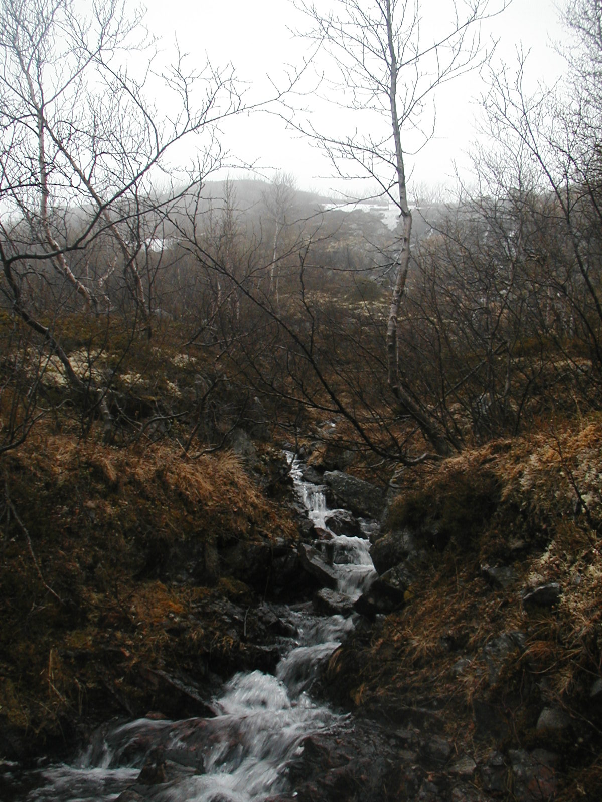 Gorna Reka Горная речка