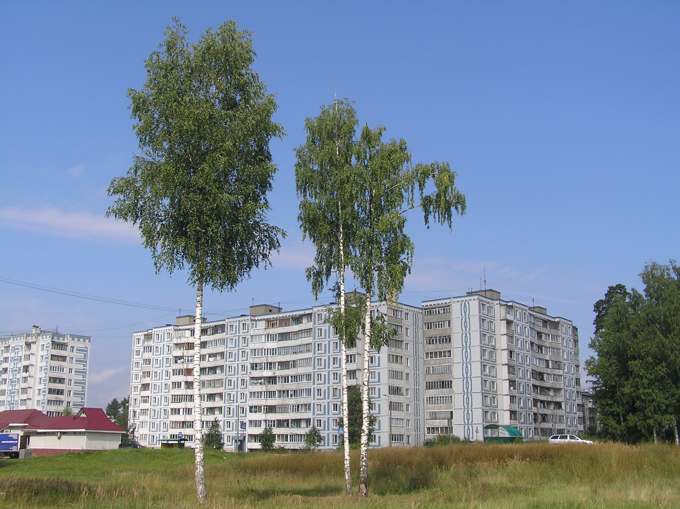 Королев 14. Королева 14 Пересвет. Пересвет город. Пересвет город Московской. Г Пересвет ул Королева 14.