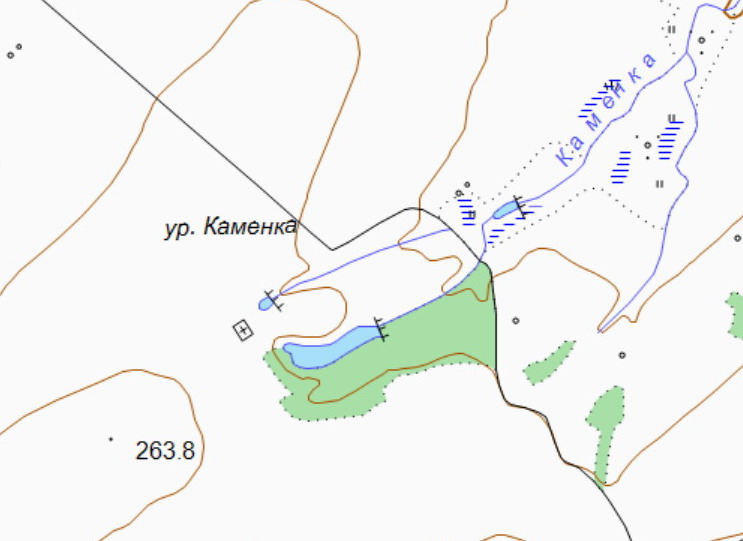 Карта каменки воронежской области