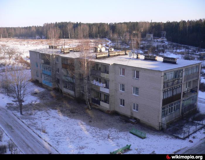 Отрадный Ленинградской Области Фото