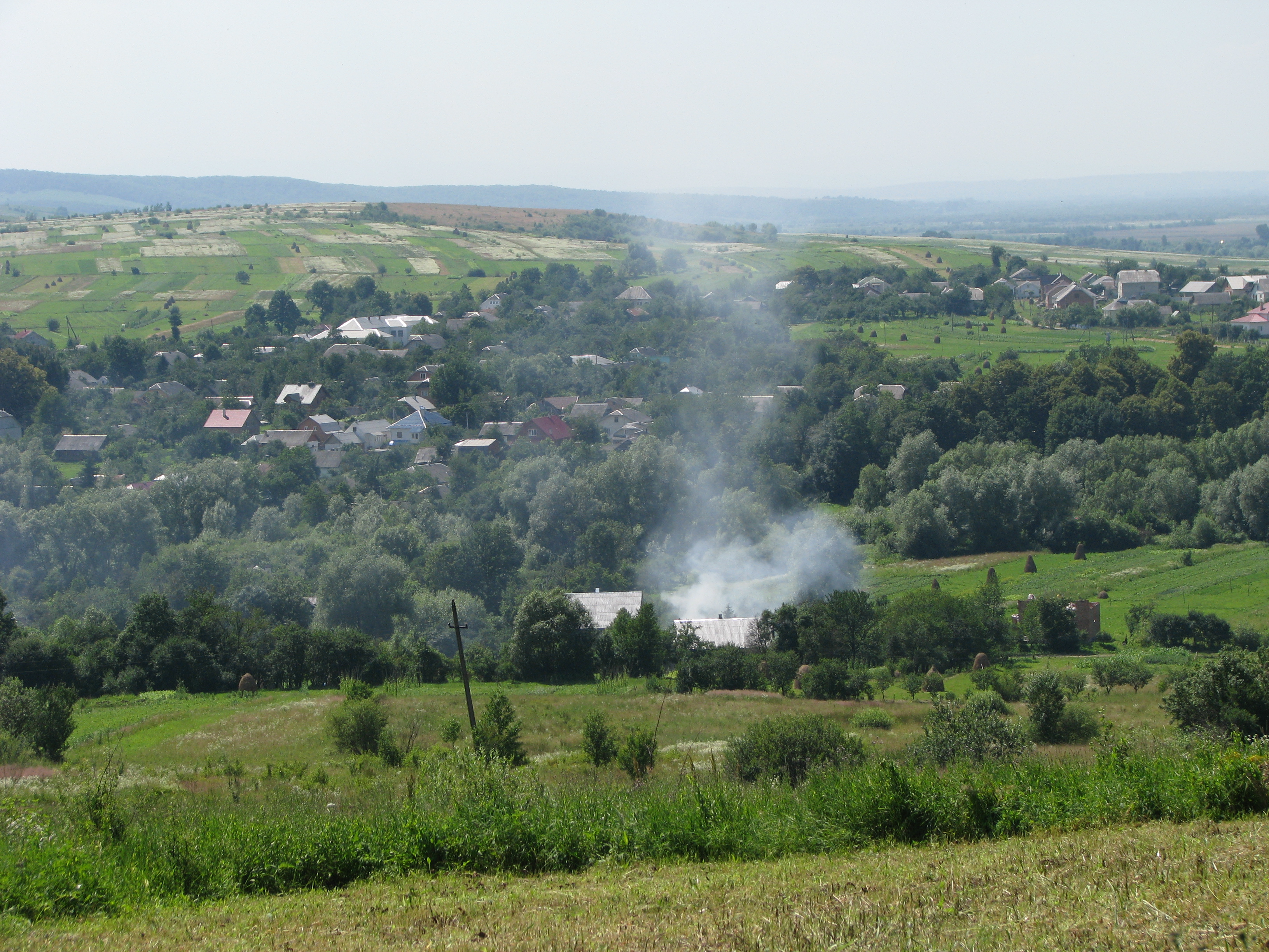 Среднее село. Село Бережница Украина. Бережница Дубровицкий район. Село Калушского района. Вербивка Калушский район.