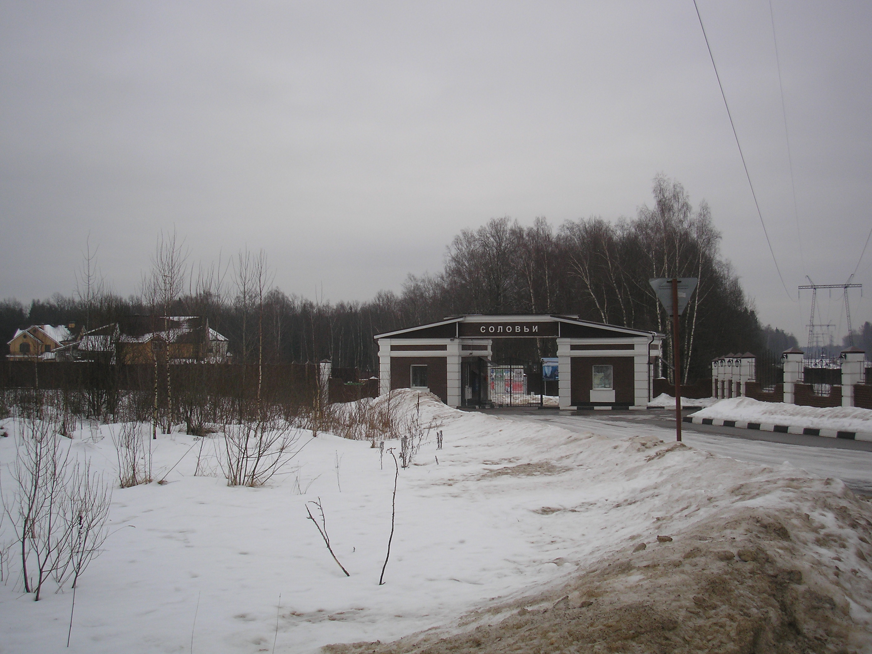 Погода в талызино нижегородская область. Дедово Талызино усадьба. Поселок соловьи. Усадьба Дедово Талызино реконструкция.