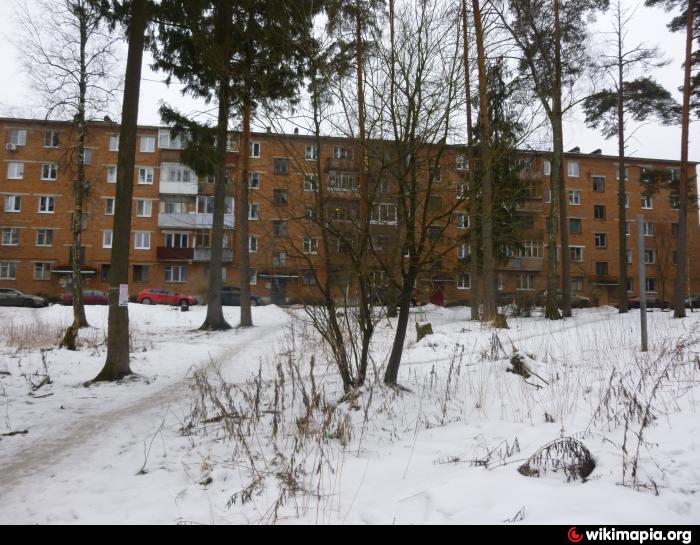 погода в менделеево моск обл