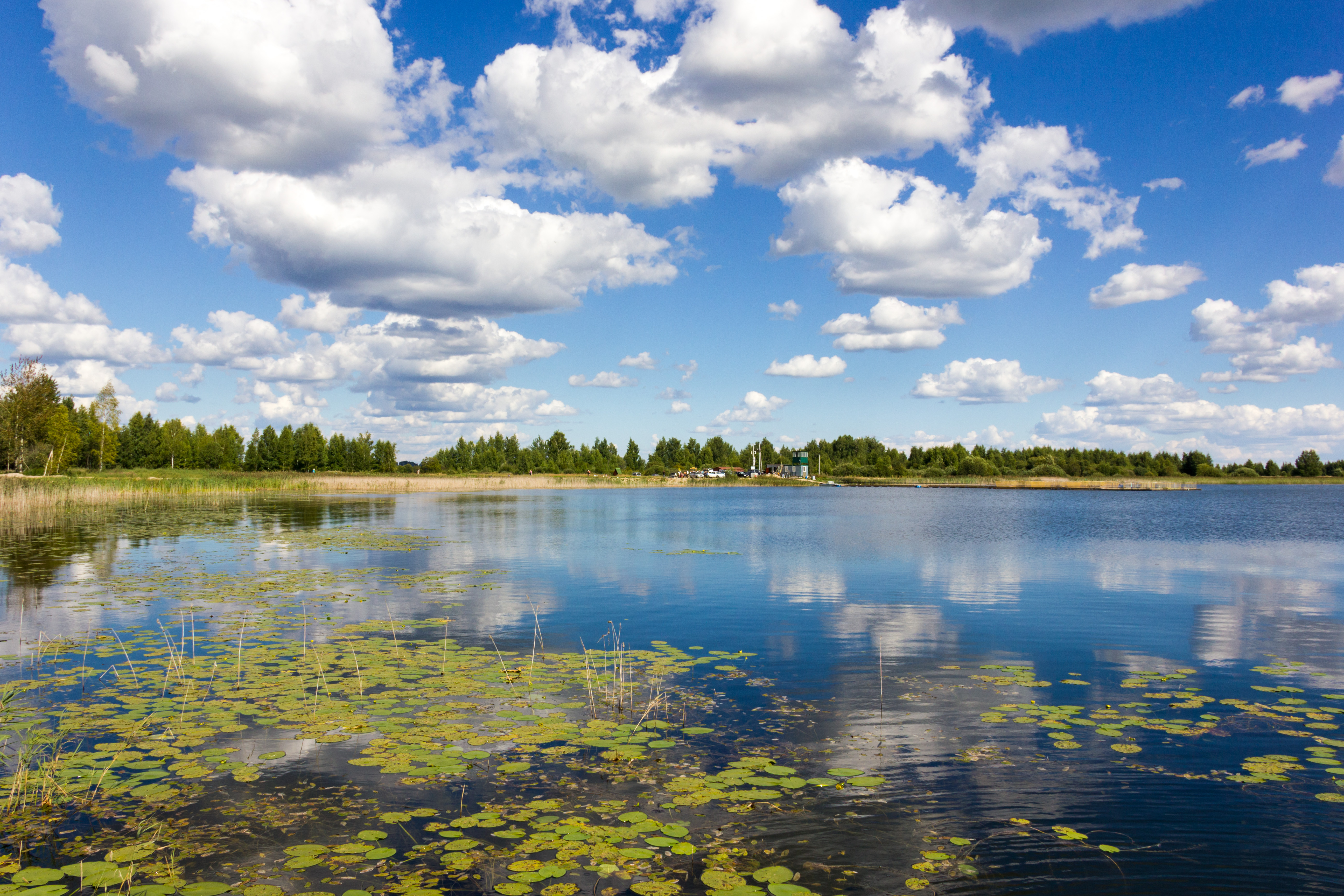 Кудринское озеро Ярославль