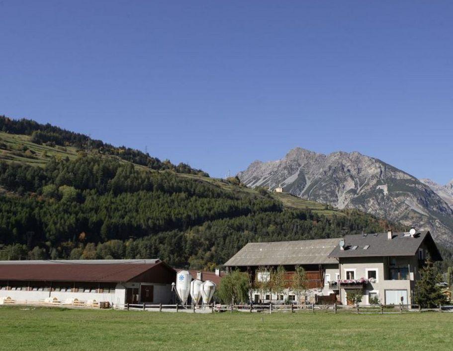 Agriturismo Rini