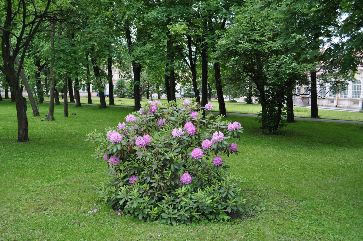 Green park санкт петербург. Гелиос парк СПБ. Партнеры парков Санкт-Петербурга.