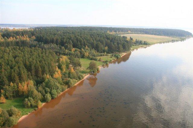 Глазовское водохранилище суздальский район фото