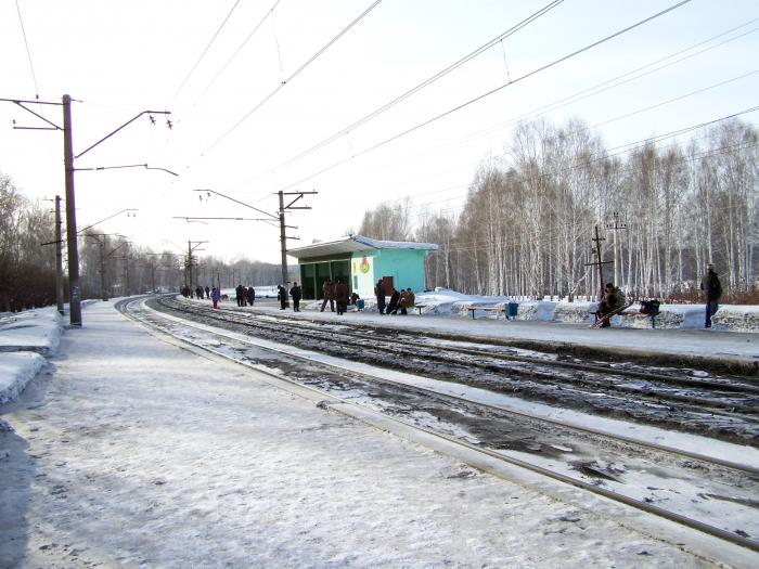 Новосибирск км. Остановочная платформа 38 км Новосибирск. Остановочная станция 38 км. Станция ОП 38км. Станция 38 километр Новосибирск.