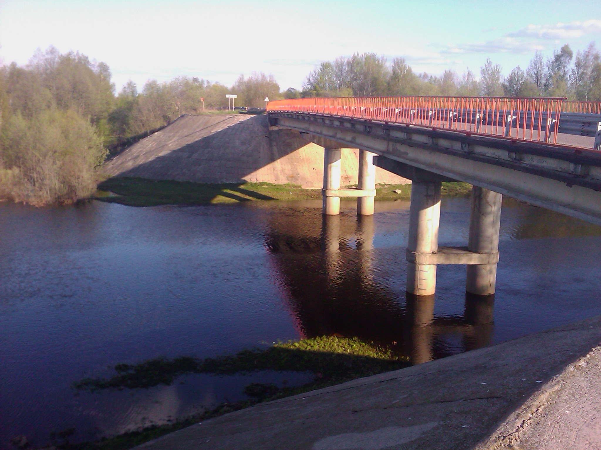 Мост около чапаевска. Железнодорожный мост Туринск. Нижний Ломов мост через реку. Сасово мост. Мост Тавда.