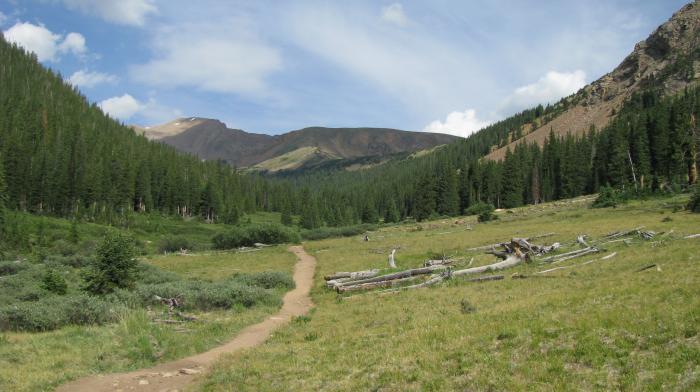 Herman Gulch