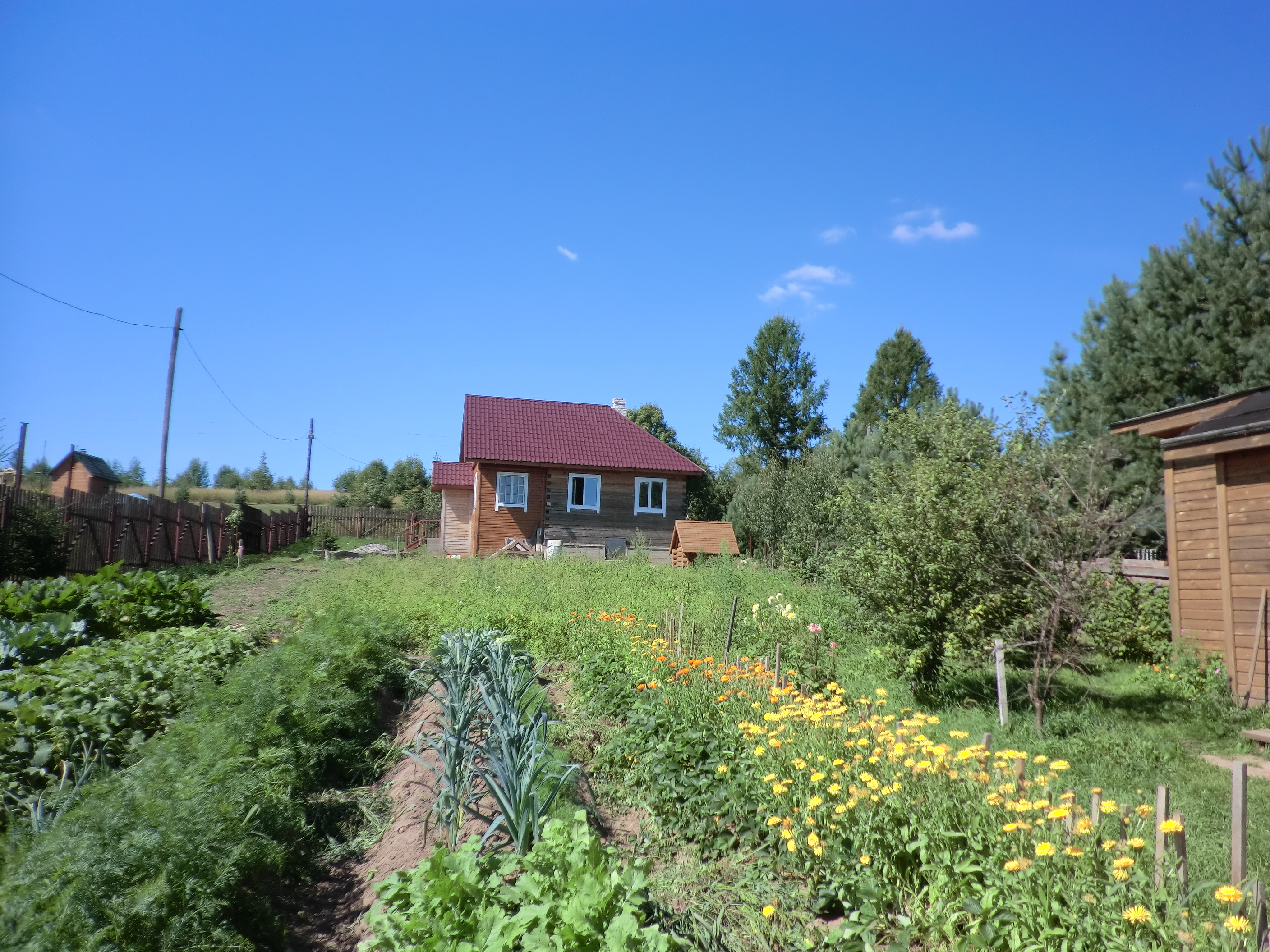 Купить Дом В Ямно Новгородской Области