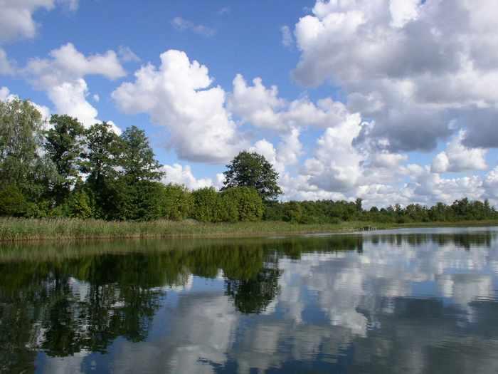 Зельва водохранилище фото