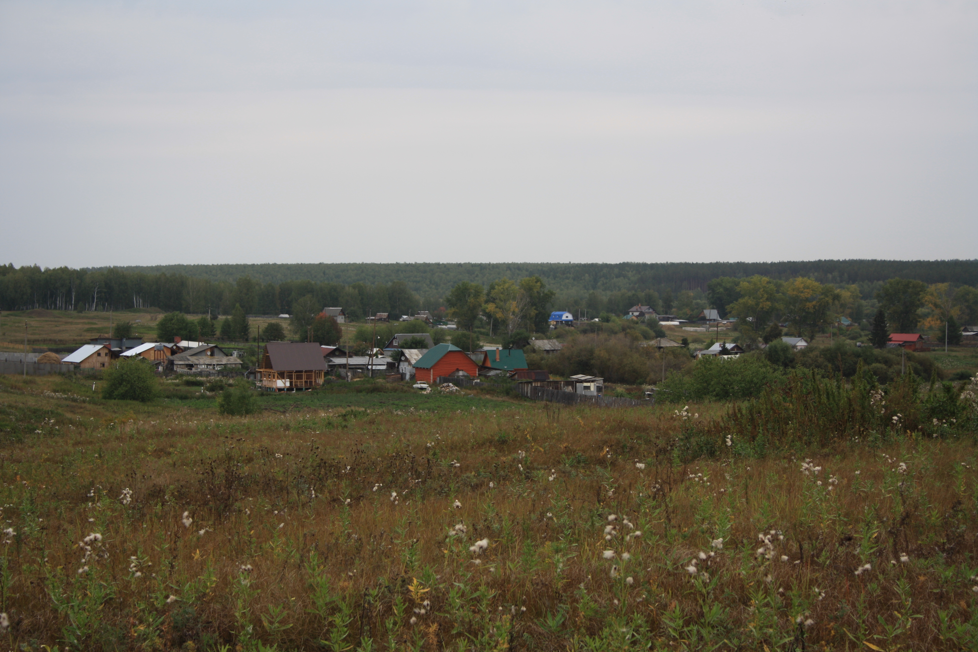 Деревня Давыдовка Курганская область