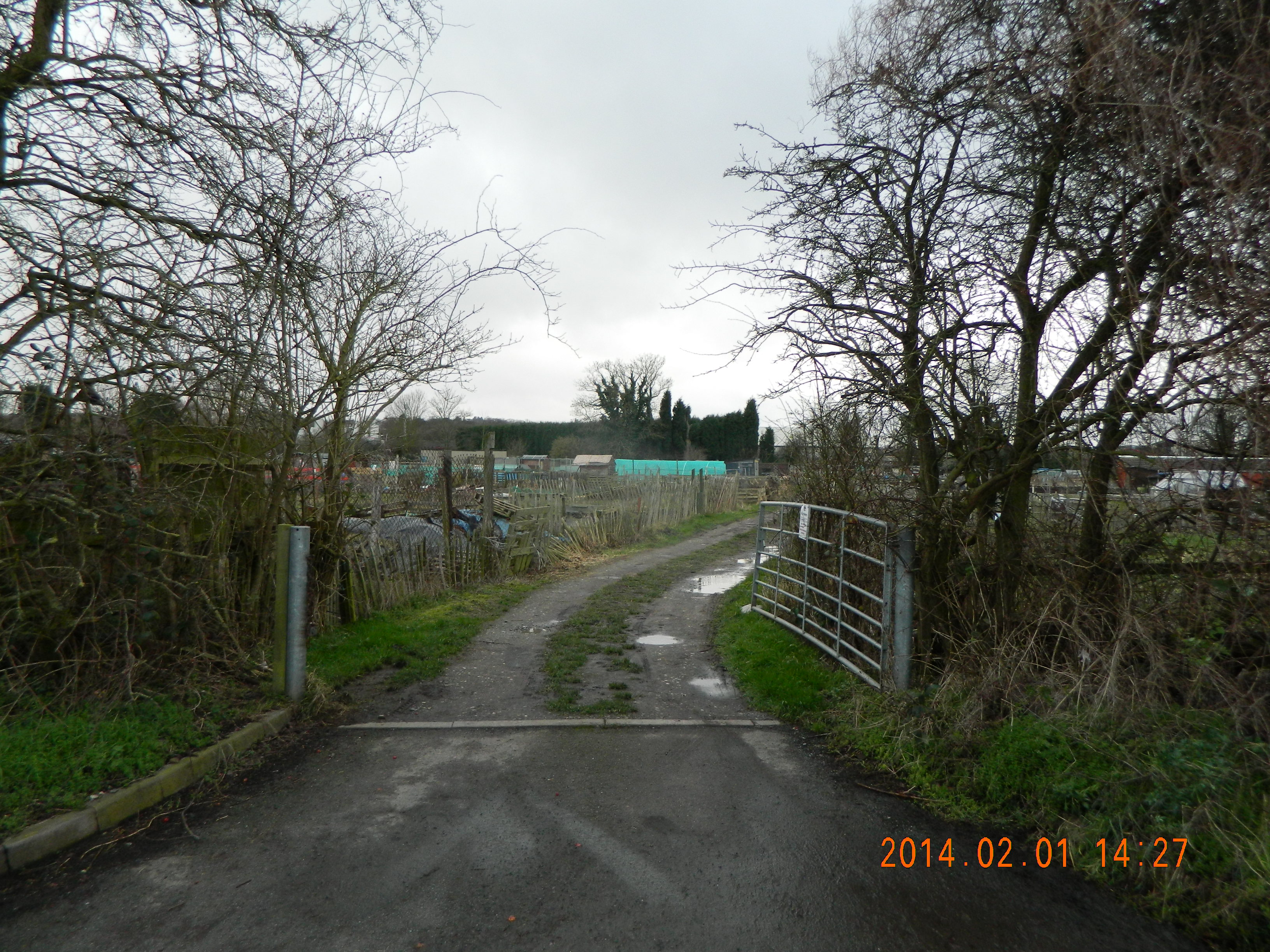 Gypsy Lane Allotments - Atherstone