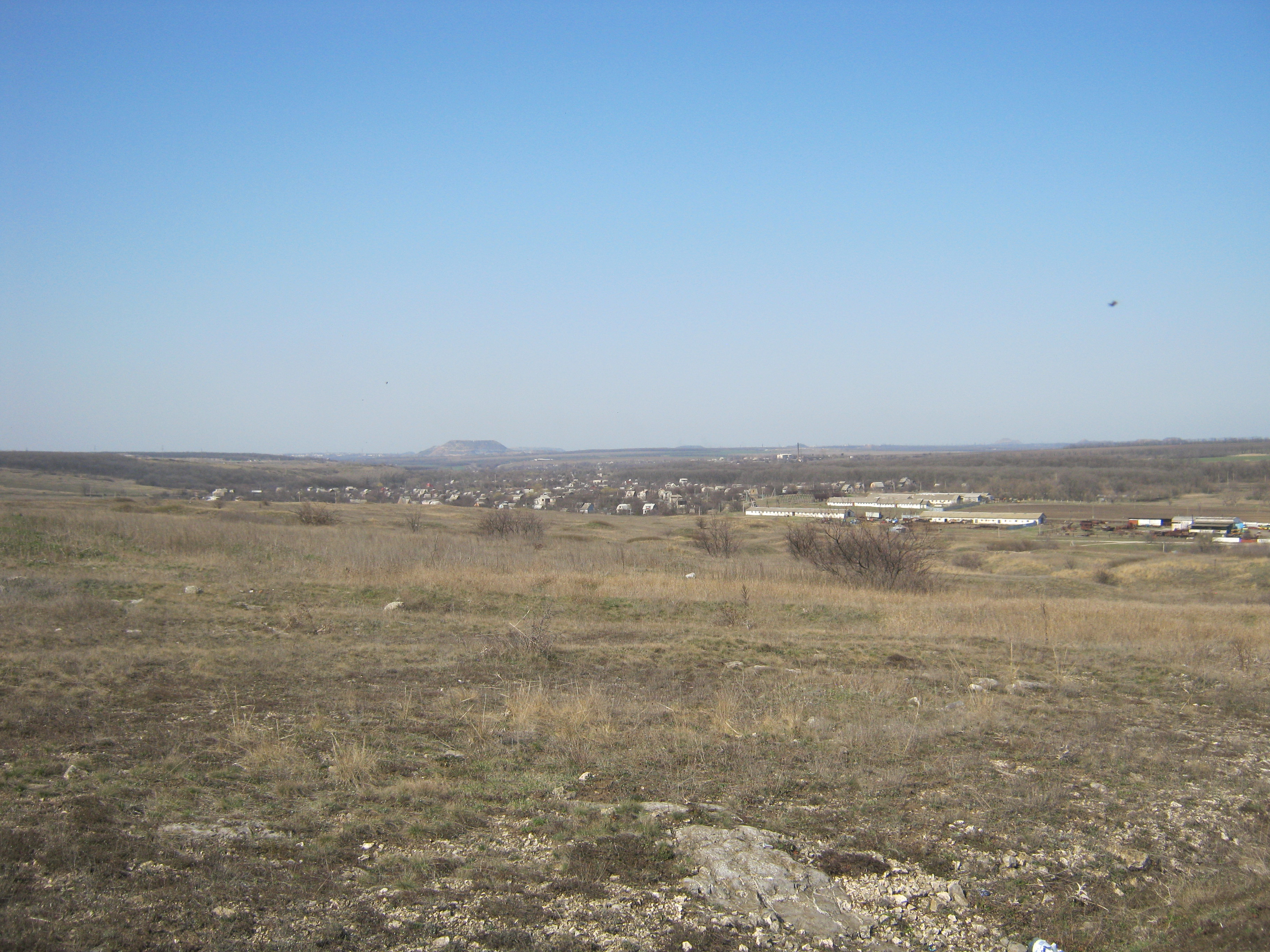 Ларино (Донецкая область). Донецк поселок Ларино. Село Ларино Донецкой области. С.Ларино Джанкойский р-н Крым.