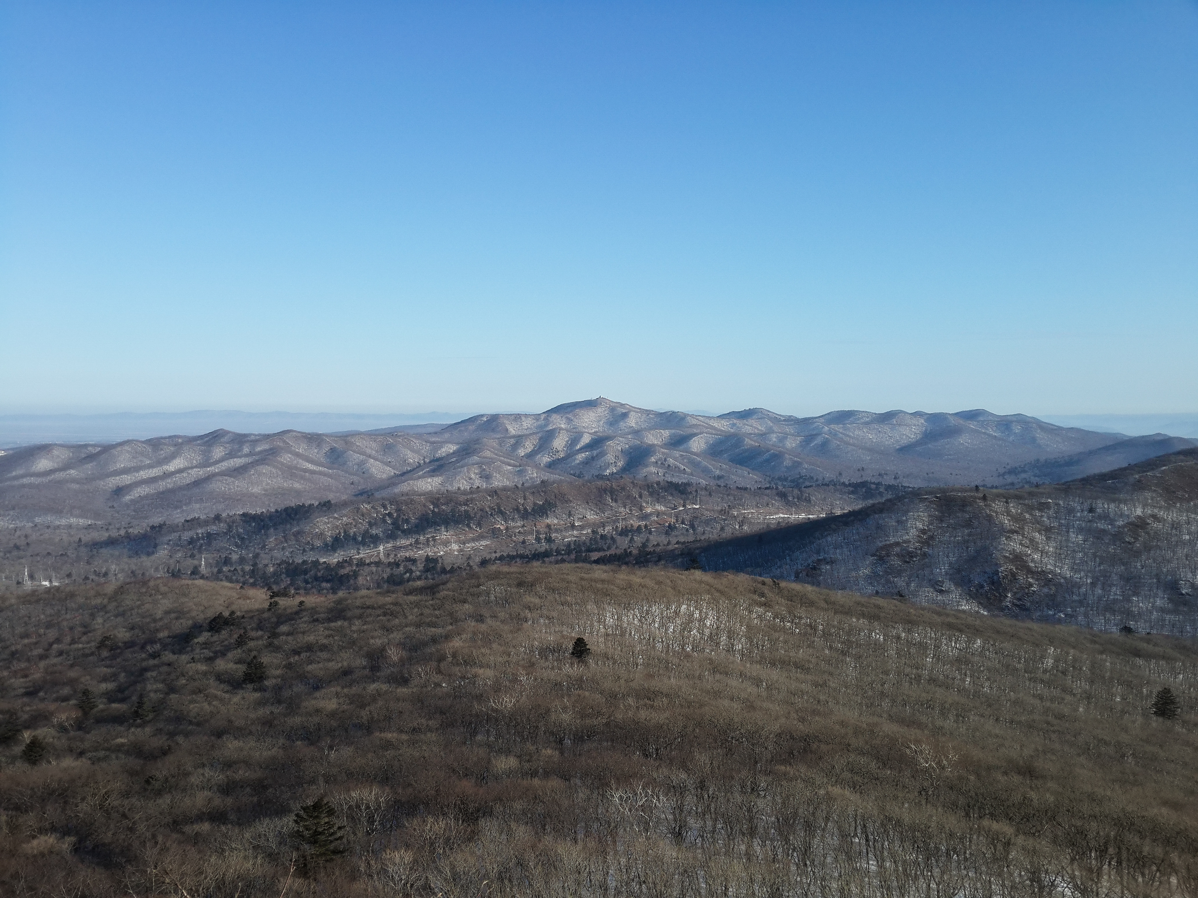 ель корейская приморский край. богатая грива владивосток. тропа арсеньева приморский край. тропа арсеньева советская гавань. абакан горы саяны.
