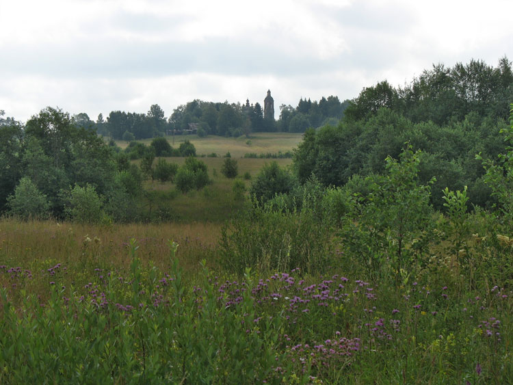Деревни чувашии. Лежащее село. Николо-залесье, костромская область. Лежащее село. Шаква (река).