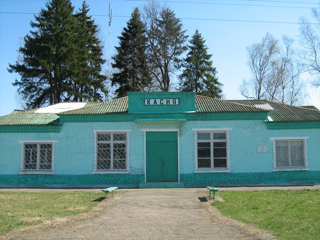 Лагерь касня смоленская область. Лагерь касня смоленская область. Касня (деревня). Смоленская область деревня касня. Касня (деревня).