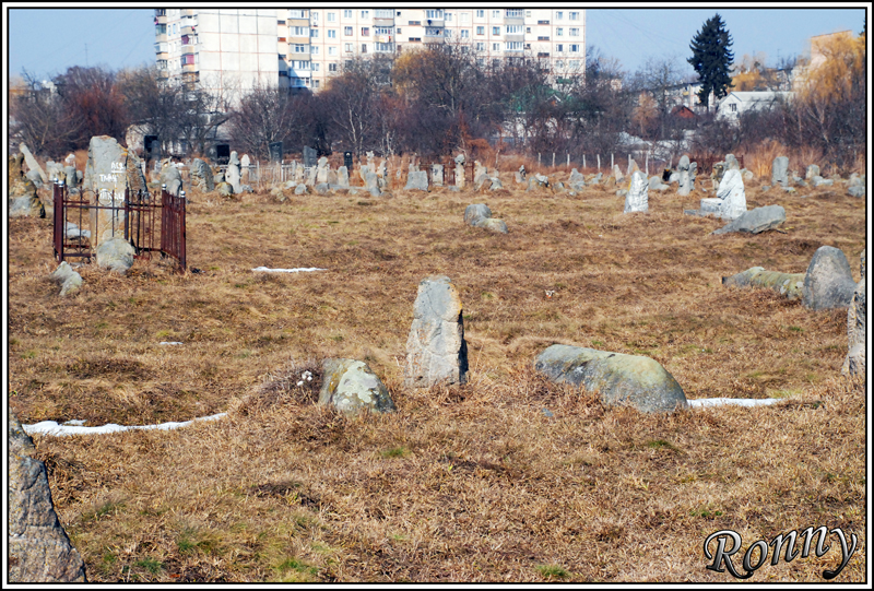 Jewish Cemetery - Zhytomyr