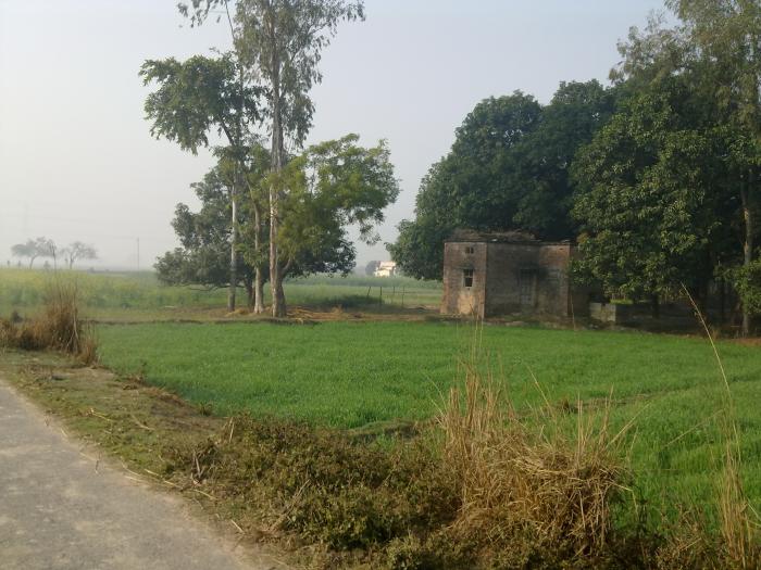 DB SINGH'S VILLAGE