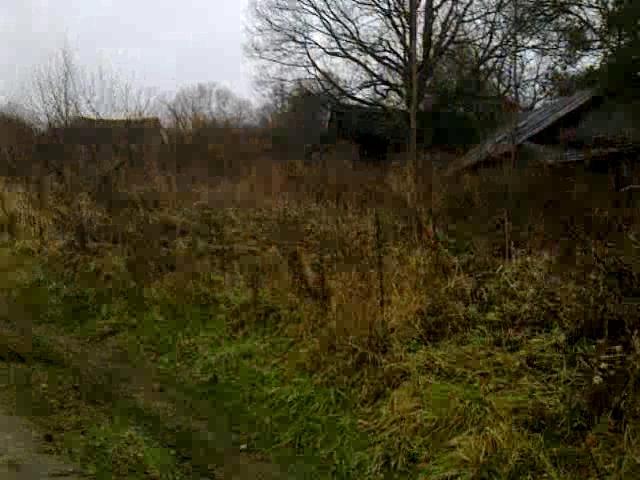 деревня золотово бокситогорский район. деревня ореховня калужская область износковский район горбачевы. дороховая калужская область. пелуши бокситогорский район. деревня космачи калужской.