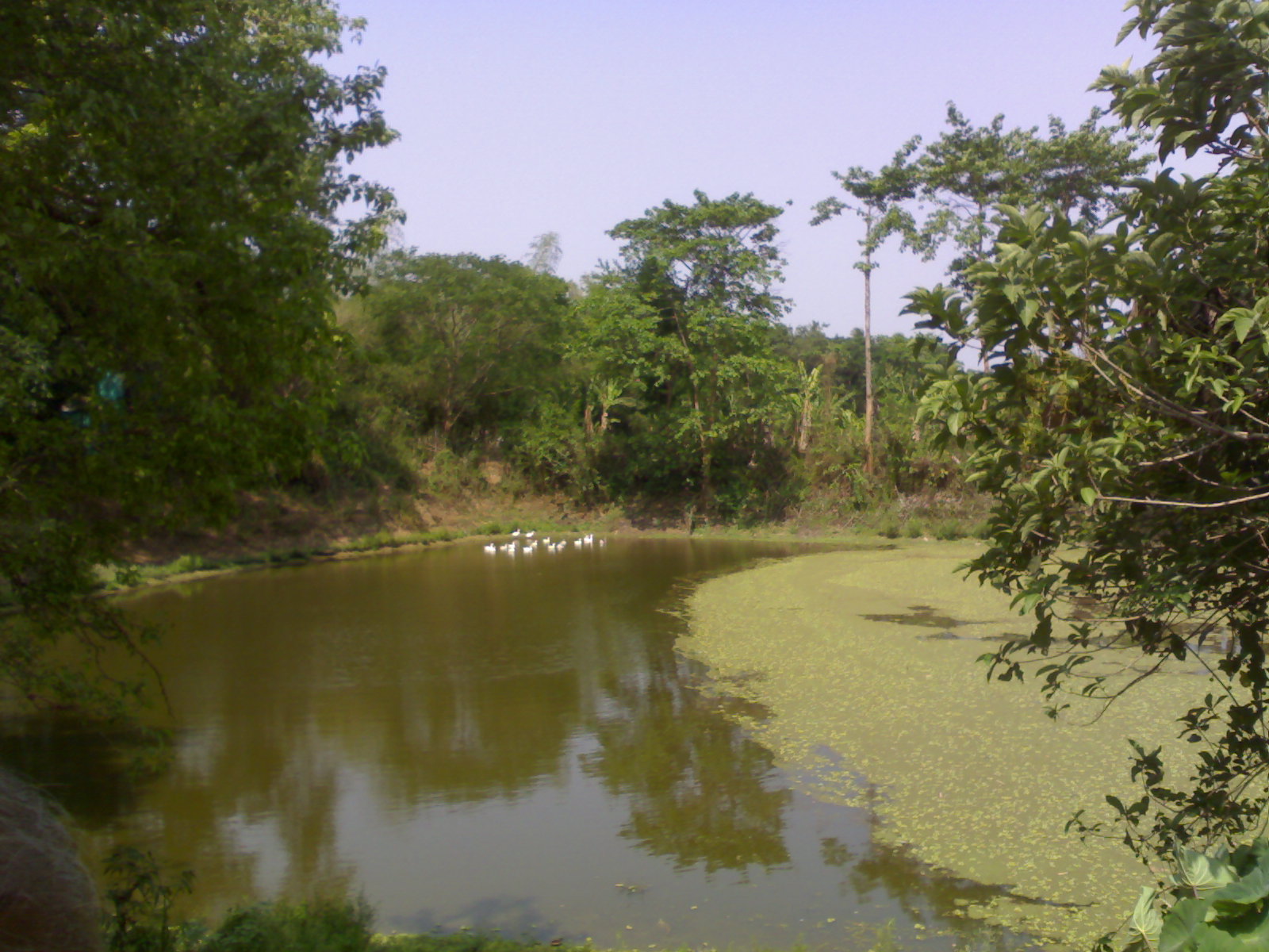 Matha Pokhari - Banamalipur