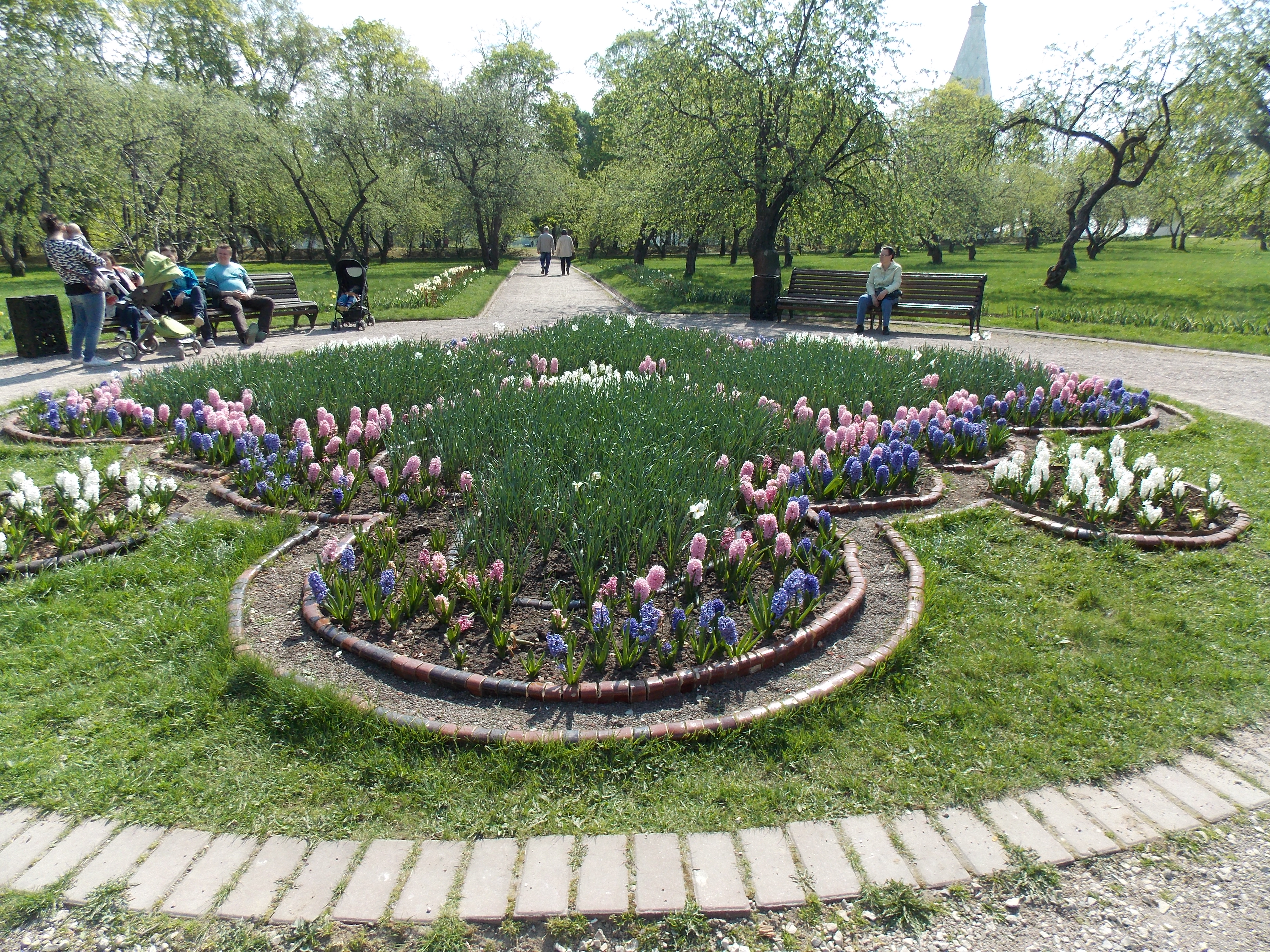 Клумбы москвы фото