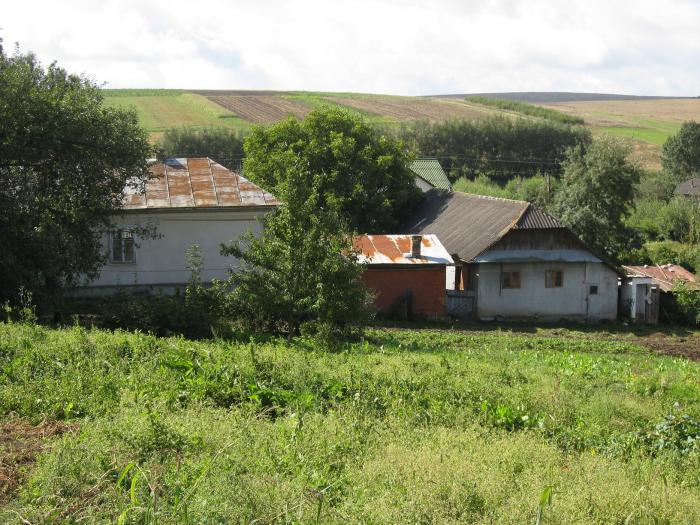 червона диброва луганская область. чистяково торез. село преображеновка васильковский район днепропетровская область. диброва луганская область. авдеевка донецкая на карте украины.