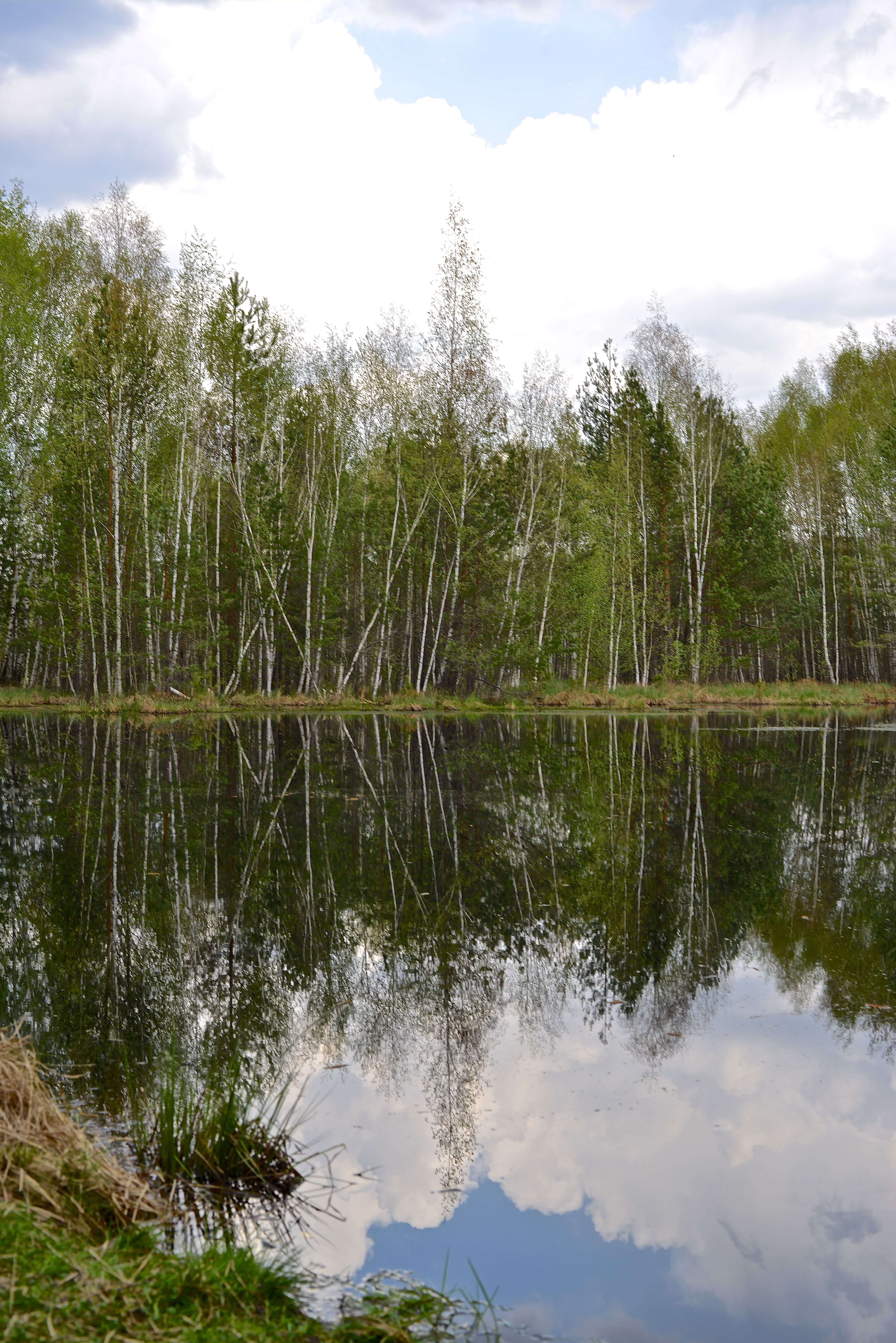 Cheshuynoe lake