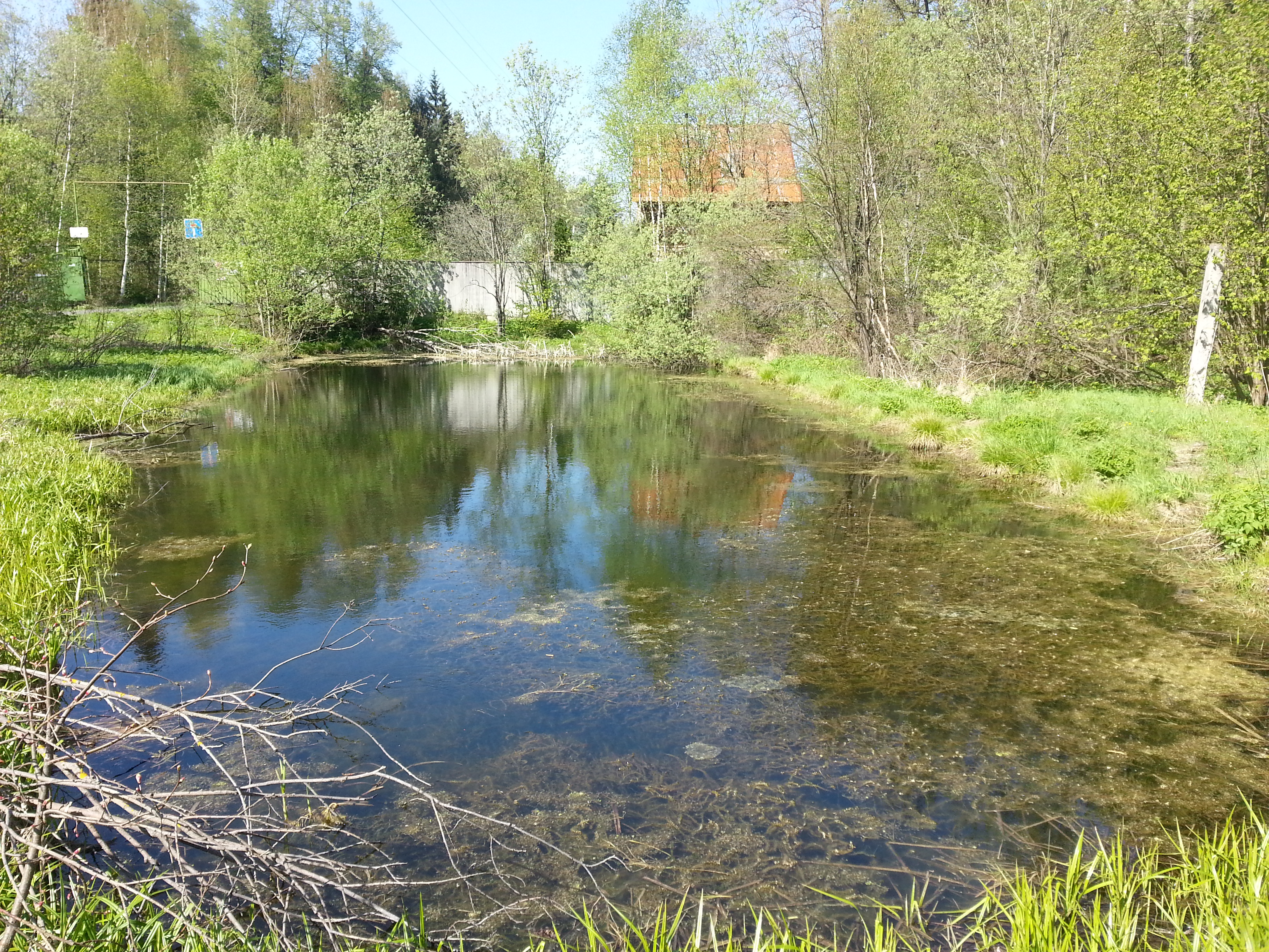 Вода в ногинском районе