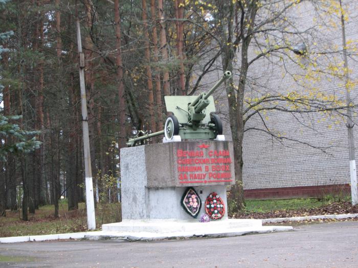 Котово 2. Поселок Котово Окуловский район Новгородская область. Поселок Котово Окуловского района. Пос Котово Новгородской области. Новгородская обл., Окуловский р-н, пос.Котово.