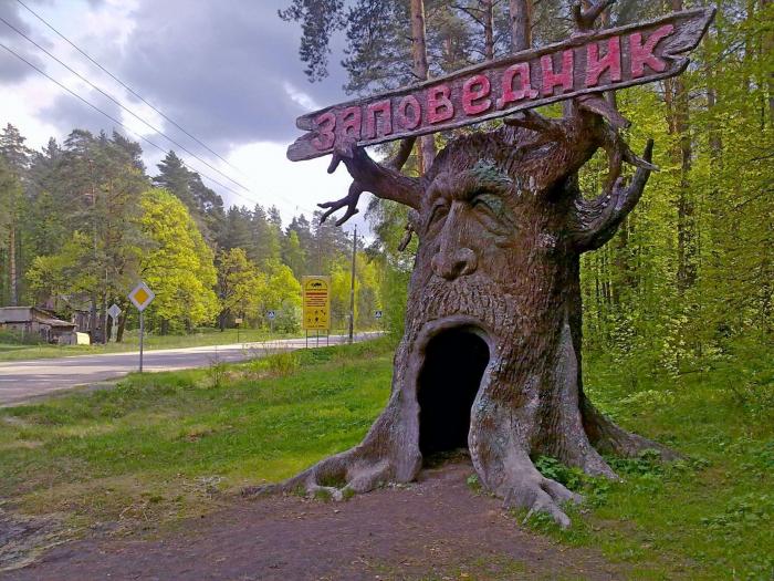 Заповедник буквы. Данки Серпуховский район. Заповедник данки Серпуховский. Серпухов район данки. Серпухов, село данки заповедник.