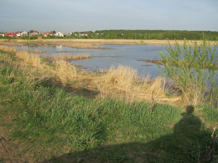 Александровский пруд оренбург