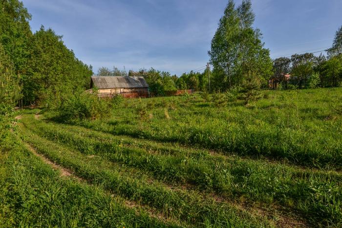 Участки в богородском районе. Таруса СНТ Русь. Таруса город СНТ Ока. Садоводство на Руси. СНТ Русь Одинцовский район.