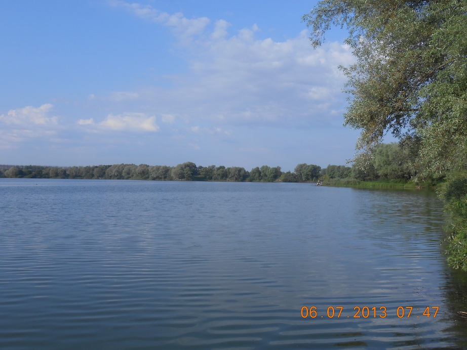 Пляж в шилово воронеж