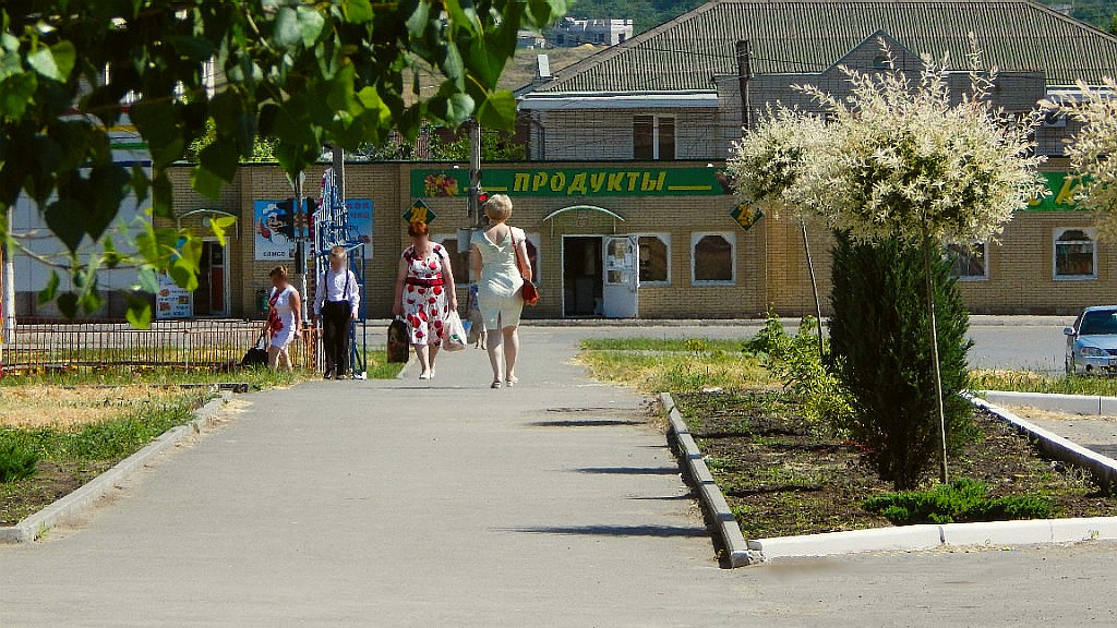 Погода в заводском каменск шахтинский. Каменск-Шахтинский поселок Южный. Овощи Каменск Шахтинский.