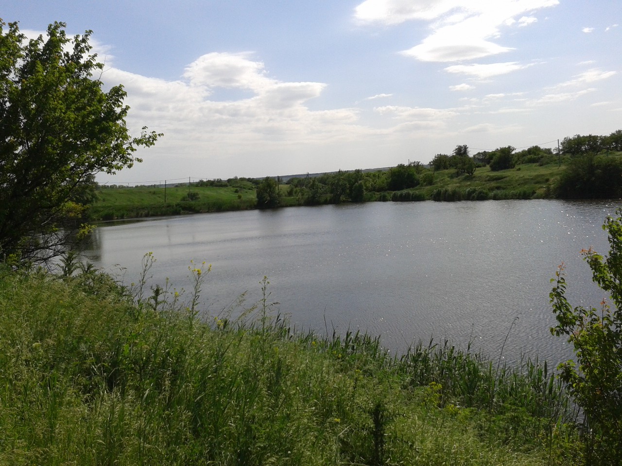 Hydra Pond - Donetsk