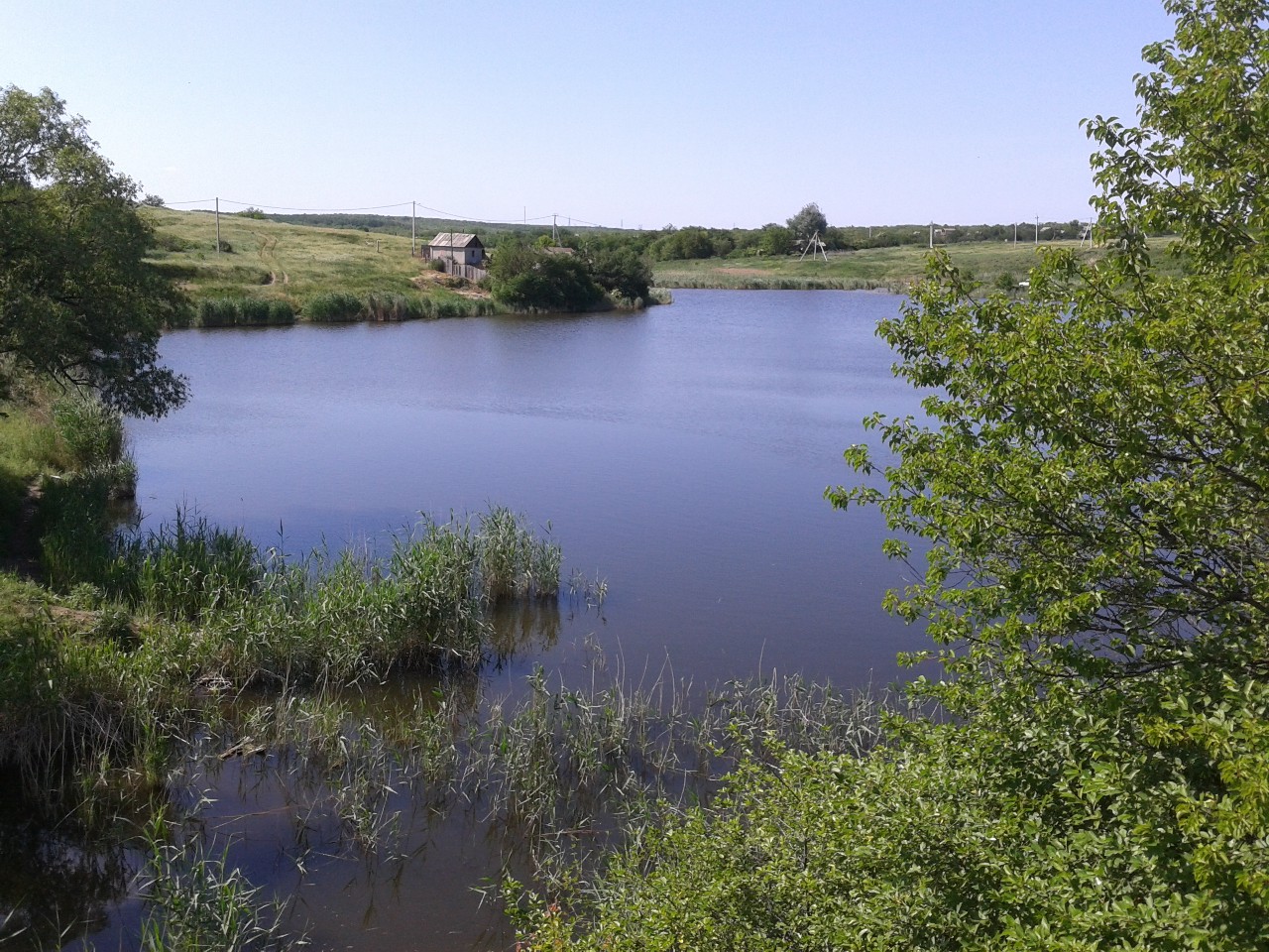 Hydra Pond - Donetsk