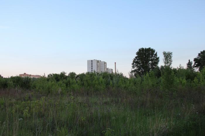 старый забор. пустырь за мгу. забор пустыри. забор пустыри. сухая трава, бурьян.