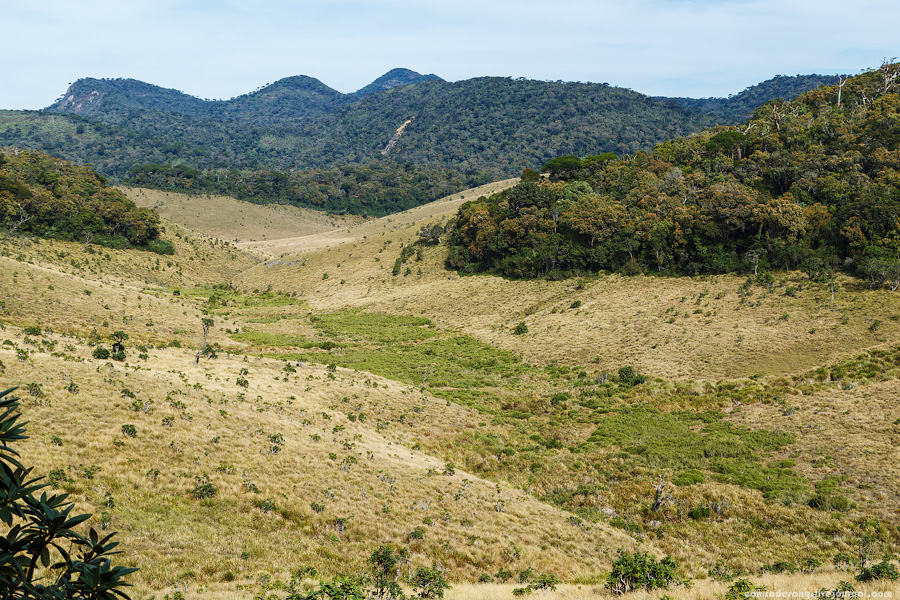 Horton Plains