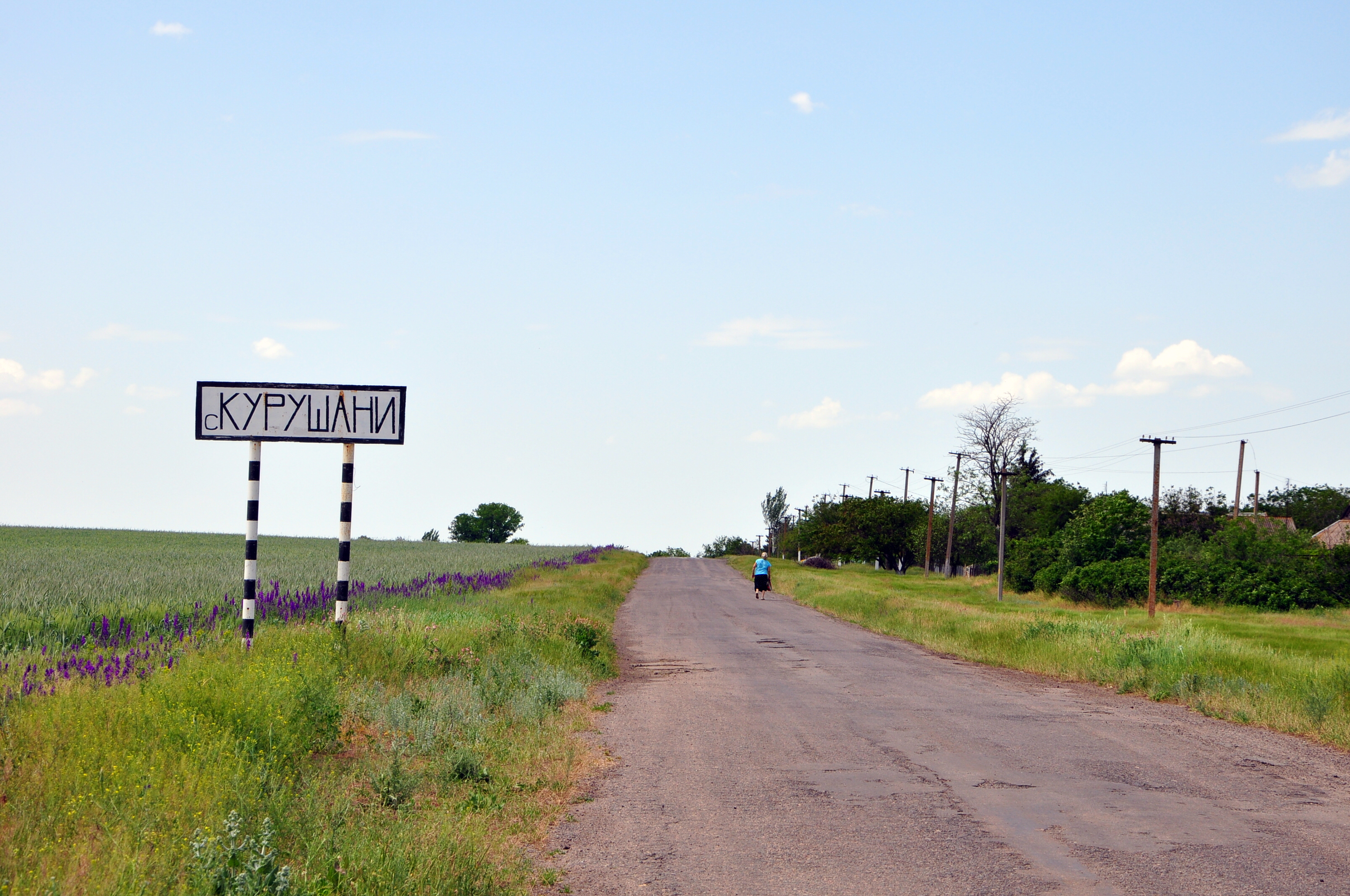 Село запорожское. Совхоз Запорожье Токмакский район. Сельские населенные пункты. Запорожская область Токмакский район села. Село Курошаны.