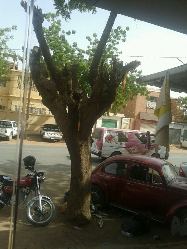 Al Borg Medical laboratories - Khartoum