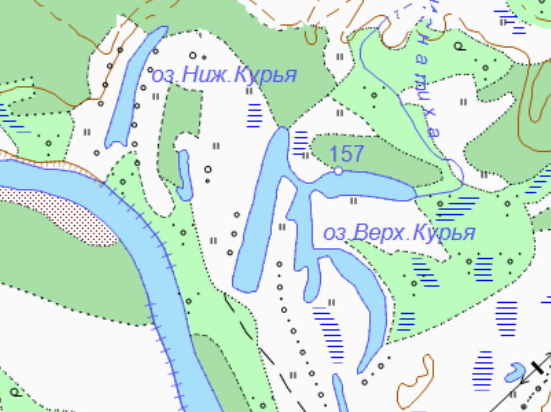 Курья киров. Озеро Курья. Река Курья на карте. Что такое Курья на реке. Оз Затон Курья.